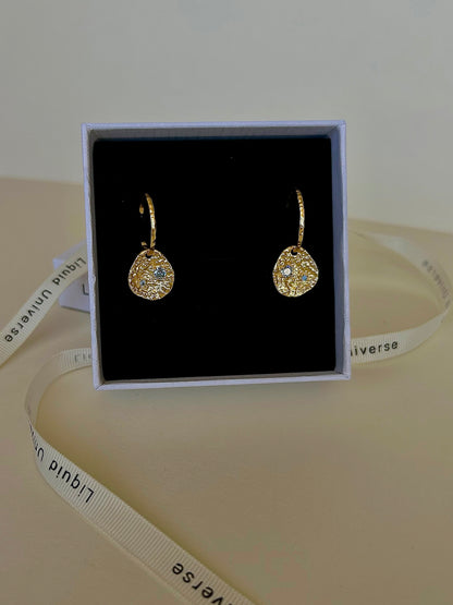 Gold Plated Coin Earring Coin Hoop Earring Product Details
